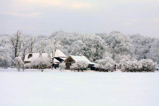 A farm in a forest, meadow covered with snow and frozen trees