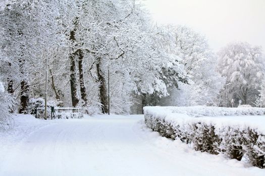 A windy road covered with snow and frozen trees in the background