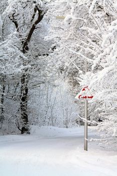 a snow covered road and frosted trees in a forest