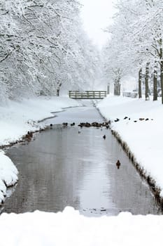 A frozen dicht in a park