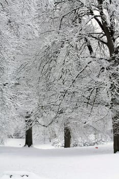 Frosted trees and everything covered in snow makes a perfect fairytale landscape