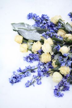 A flower arrangement in the snow, white roses and other blue flowers