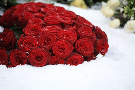 A bouquet of red roses in the snow