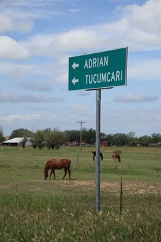 Horses graze near sign pointing towards two famous Rt. 66 towns.