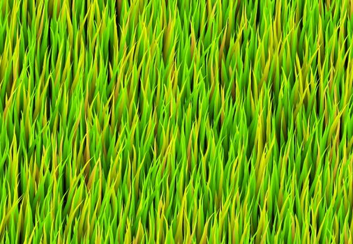 Green Grass Patch Abstract Background Pattern Texture