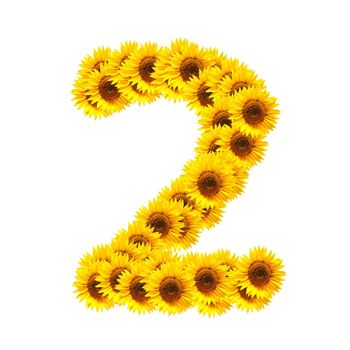 flower alphabet and numbers with sunflowers isolated on white background