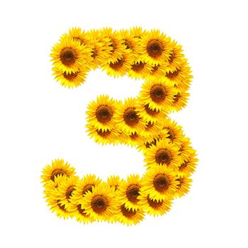 flower alphabet and numbers with sunflowers isolated on white background