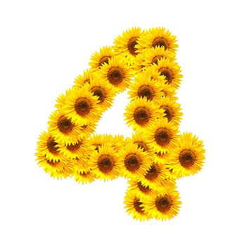 flower alphabet and numbers with sunflowers isolated on white background