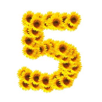 flower alphabet and numbers with sunflowers isolated on white background