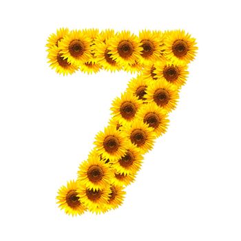 flower alphabet and numbers with sunflowers isolated on white background