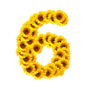 flower alphabet and numbers with sunflowers isolated on white background