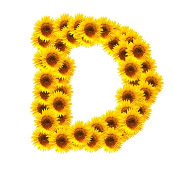 flower alphabet and numbers with sunflowers isolated on white background