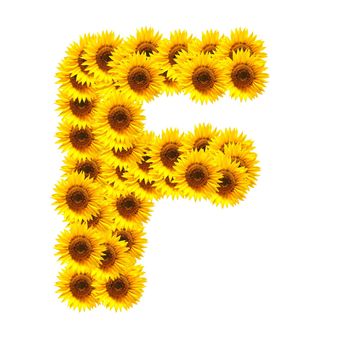 flower alphabet and numbers with sunflowers isolated on white background