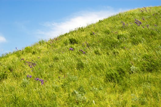 green hill under the bright blue sky