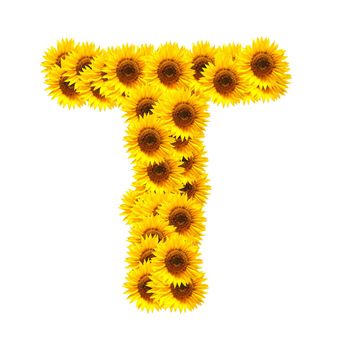 flower alphabet and numbers with sunflowers isolated on white background