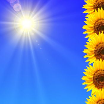 summer sun and copyspace on blue sky with flower