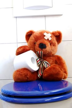 toy teddy bear with paper in the bathroom on toilet