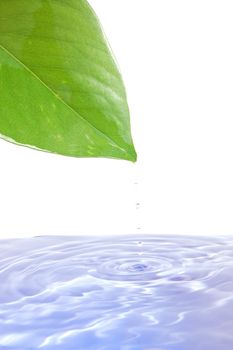 health and wellness concept with splashing water drop and leaf