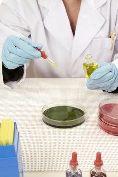 Close up crop of laboratory worker doing scientific, medical or other research.  Focus to dropper and bottle