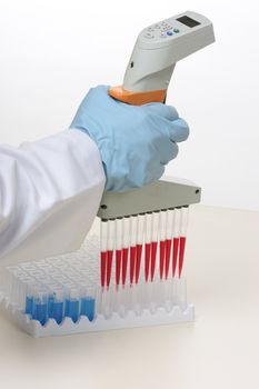 Scientist using a multichannel pipette and laboratory cuvettes.  Focus to foreground.