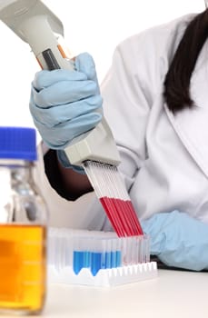 A scientist dispensing liquid from a multi channel pipette into cuvettes in a laboratory.