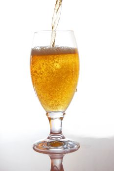 fresh and cold beer on white background