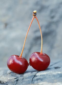 Pair of cherries with stem standing on the stone.