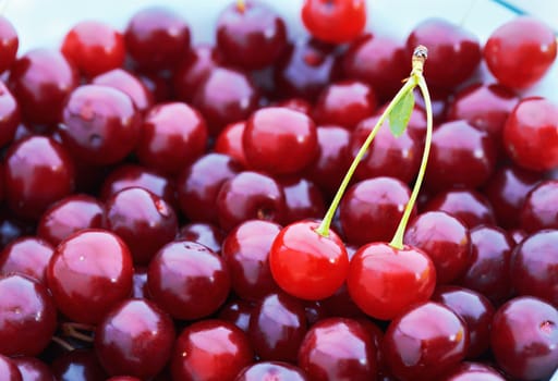 Heap of cherries with pair  of them in the front.