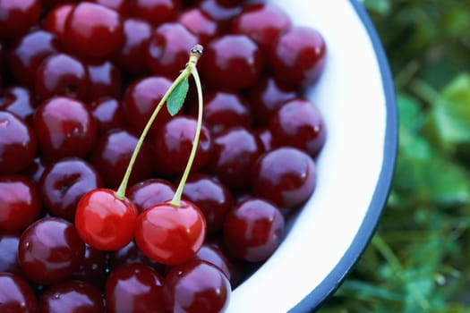 Picture of fresh cherries in the bowl.