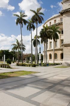 Part of a Capitol building in Havana and palm trees. Cuba.