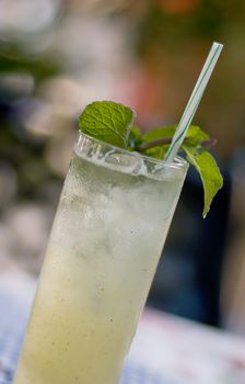 A glass of fresh mojito cocktail with mint on colored background