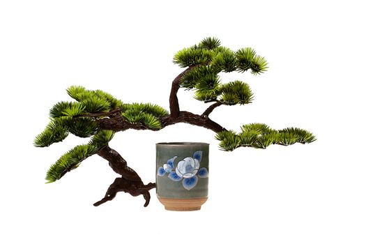 Ceramic cup with the Japanese vodka sake under small tree Bonsai.