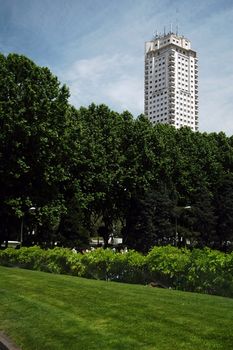 madrid skyscraper with trees and field,  verticallyframed shot    