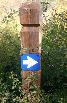 Blue sign with arrow points the way down walking path through forested area.