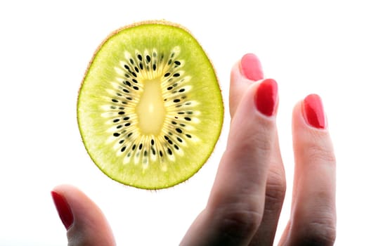 scientific study sample kiwi, closeup, hands of the researcher