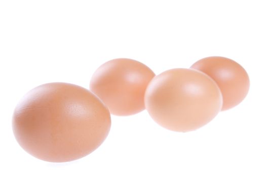 Egg, Bird, Soft, Frail, Light, Weightless, Shell, Brown, 