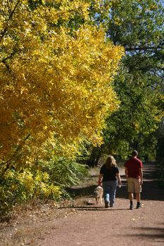 Two people taking a walk with their dog along a path surrounded by beautiful fall foliage.