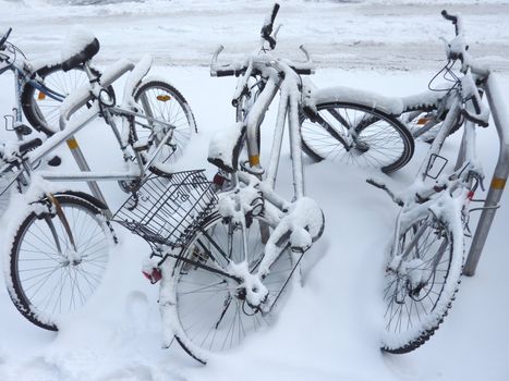 Several bicycles covered by snow in the street