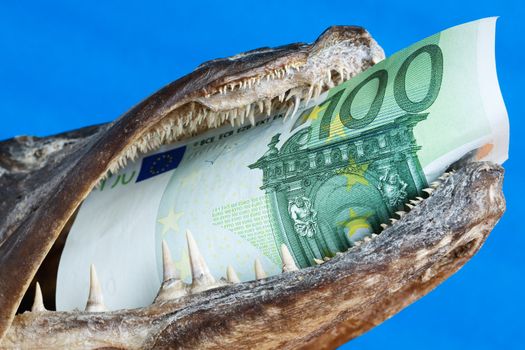 The fish mouth holds euro on blue background