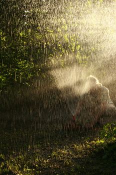 a man adjusting the water hose in his garden in a dry period.