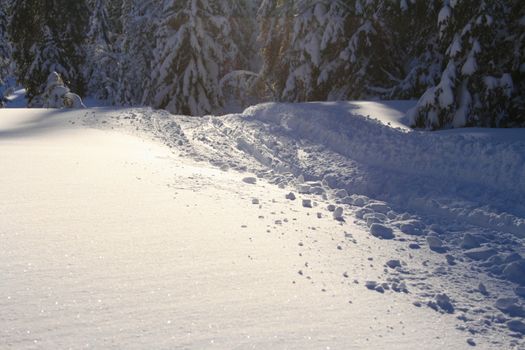 fresh ski tracks made by people heading for Styggemann - the highest point on Skrim, a mountain in Vestfold, Norway.