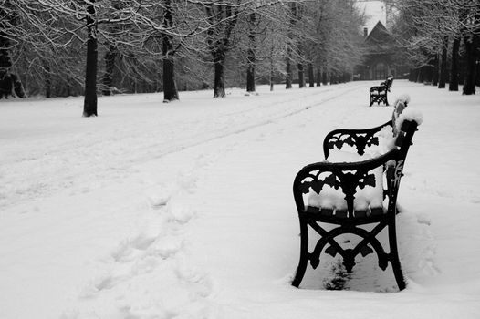 bench covered by snow, horizontally framed shot