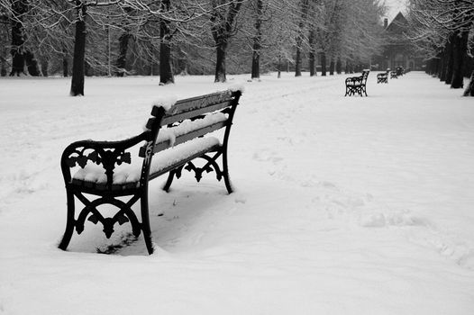 bench covered by snow, vertically framed shot