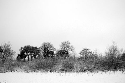 Cardiff Bute park covered by snow, horizontally framed picture