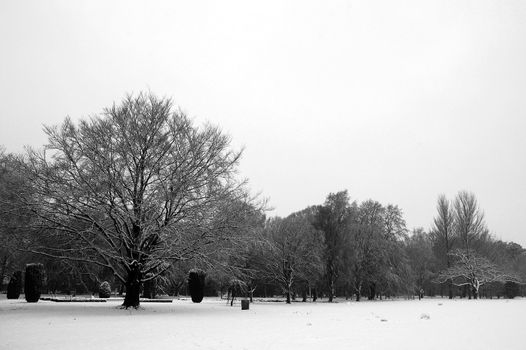 Cardiff Bute park covered by snow, horizontally framed picture