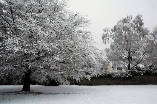Cardiff Bute park covered by snow, horizontally framed picture
