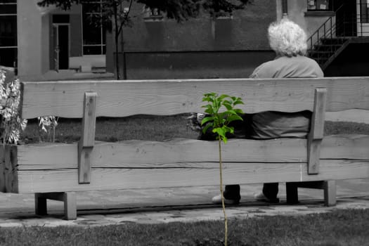 Old woman siting on the bench
