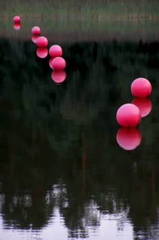 row of rose buoys on smooth water   