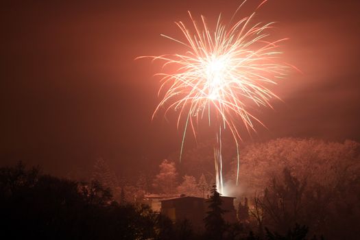 Bright colorful firework at night 