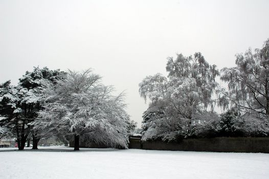 Cardiff Faiwater park covered by snow, horizontally framed picture
